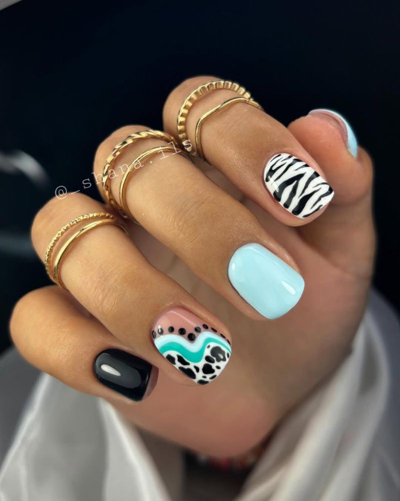 imprimé zèbre, ongles bleu ciel
