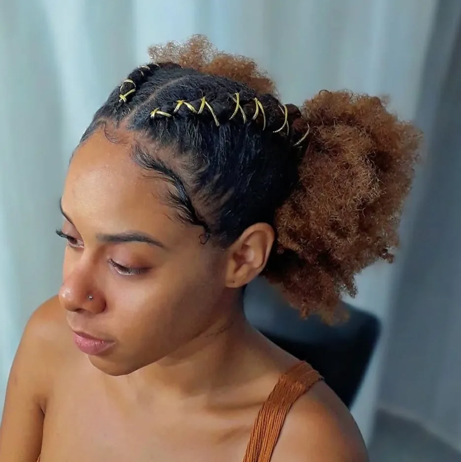 Coiffure afro avec section tressée sur le dessus finissant en deux puffs à l'arrière
