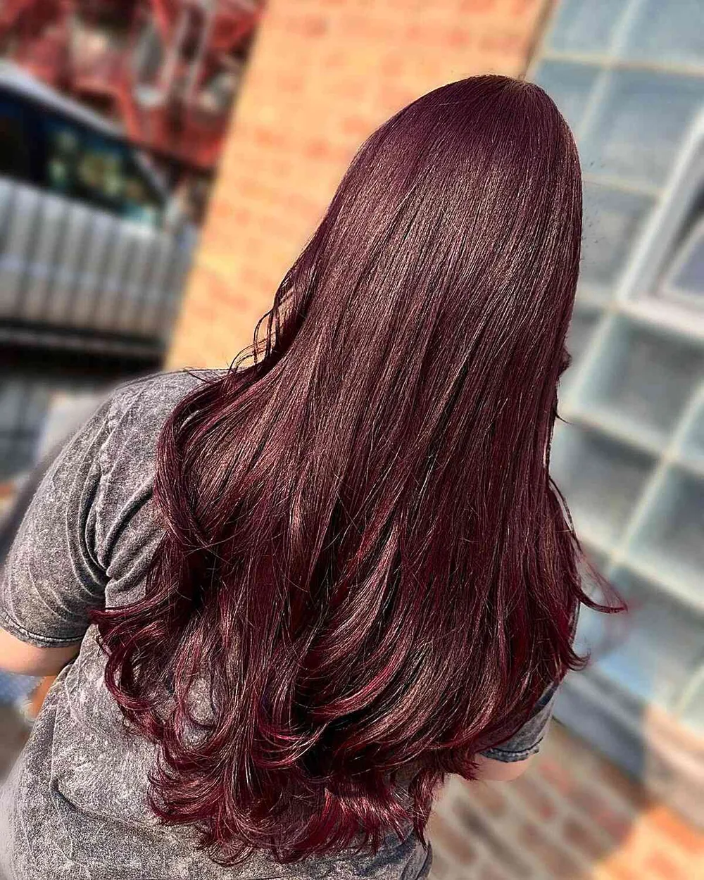 Cheveux chocolat acajou aux reflets rouge mauve intenses, longs et brillants
