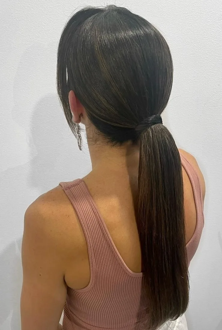 Femme aux cheveux lisses coiffée en queue de cheval basse lissée et brillante, de dos